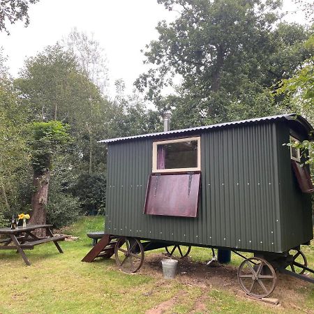 The Shepherd'S Hut - Wild Escapes Wrenbury Off Grid Glamping - Ages 12 And Over Baddiley Eksteriør bilde