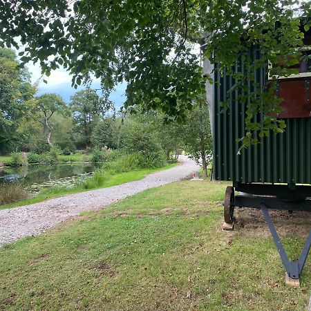 The Shepherd'S Hut - Wild Escapes Wrenbury Off Grid Glamping - Ages 12 And Over Baddiley Eksteriør bilde