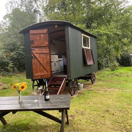 The Shepherd'S Hut - Wild Escapes Wrenbury Off Grid Glamping - Ages 12 And Over Baddiley Eksteriør bilde