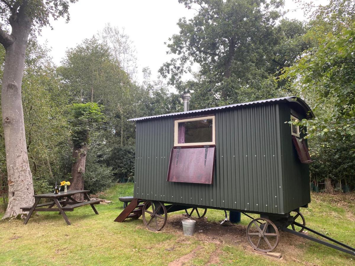 The Shepherd'S Hut - Wild Escapes Wrenbury Off Grid Glamping - Ages 12 And Over Baddiley Eksteriør bilde