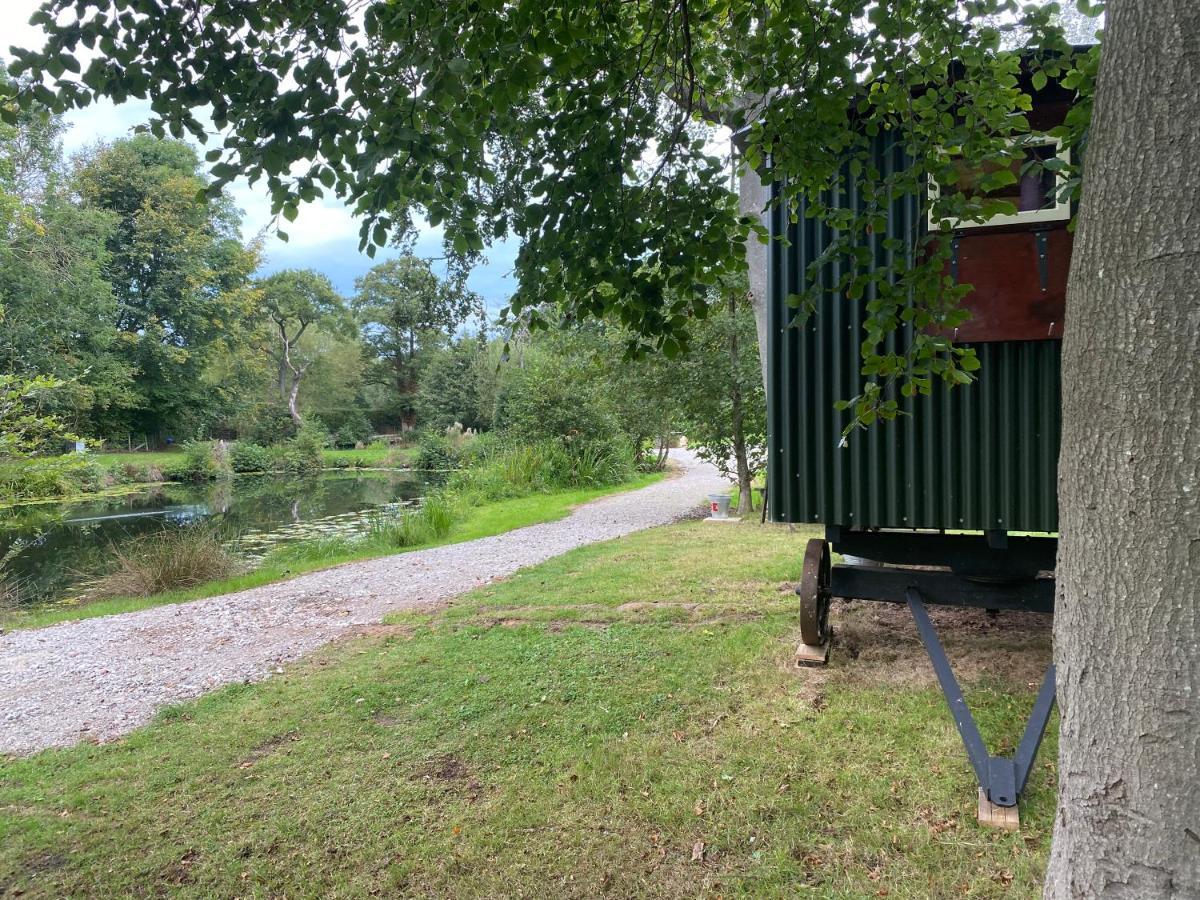 The Shepherd'S Hut - Wild Escapes Wrenbury Off Grid Glamping - Ages 12 And Over Baddiley Eksteriør bilde