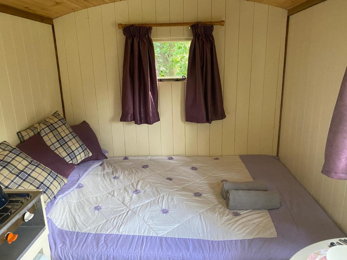 The Shepherd'S Hut - Wild Escapes Wrenbury Off Grid Glamping - Ages 12 And Over Baddiley Eksteriør bilde