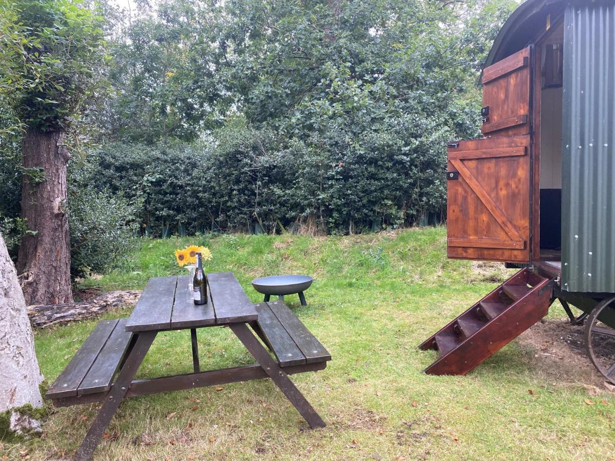 The Shepherd'S Hut - Wild Escapes Wrenbury Off Grid Glamping - Ages 12 And Over Baddiley Eksteriør bilde